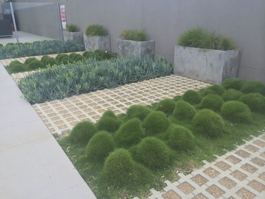 Gardens and planting
